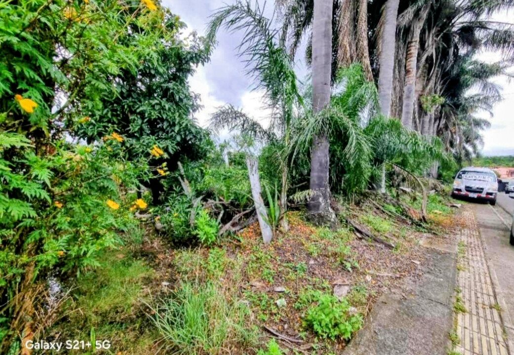 Screenshot_20260115_172753_Encuentra24~2