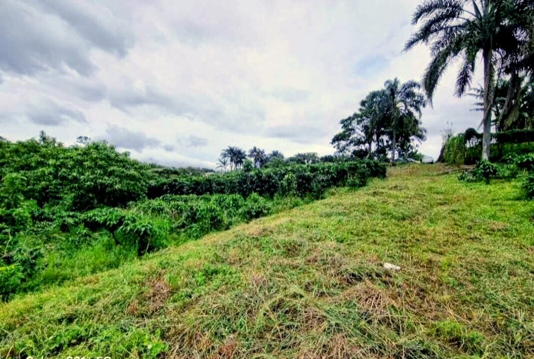 Screenshot_20260115_172759_Encuentra24~3