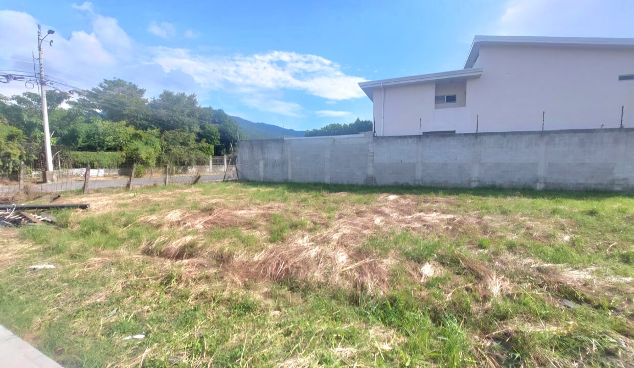 Screenshot_20260115_202413_WhatsAppBusiness