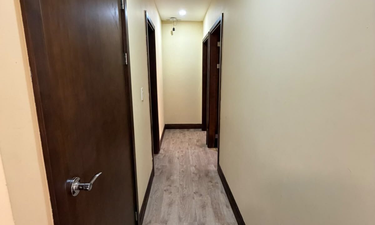 IMG-20260811-WA0098(1)